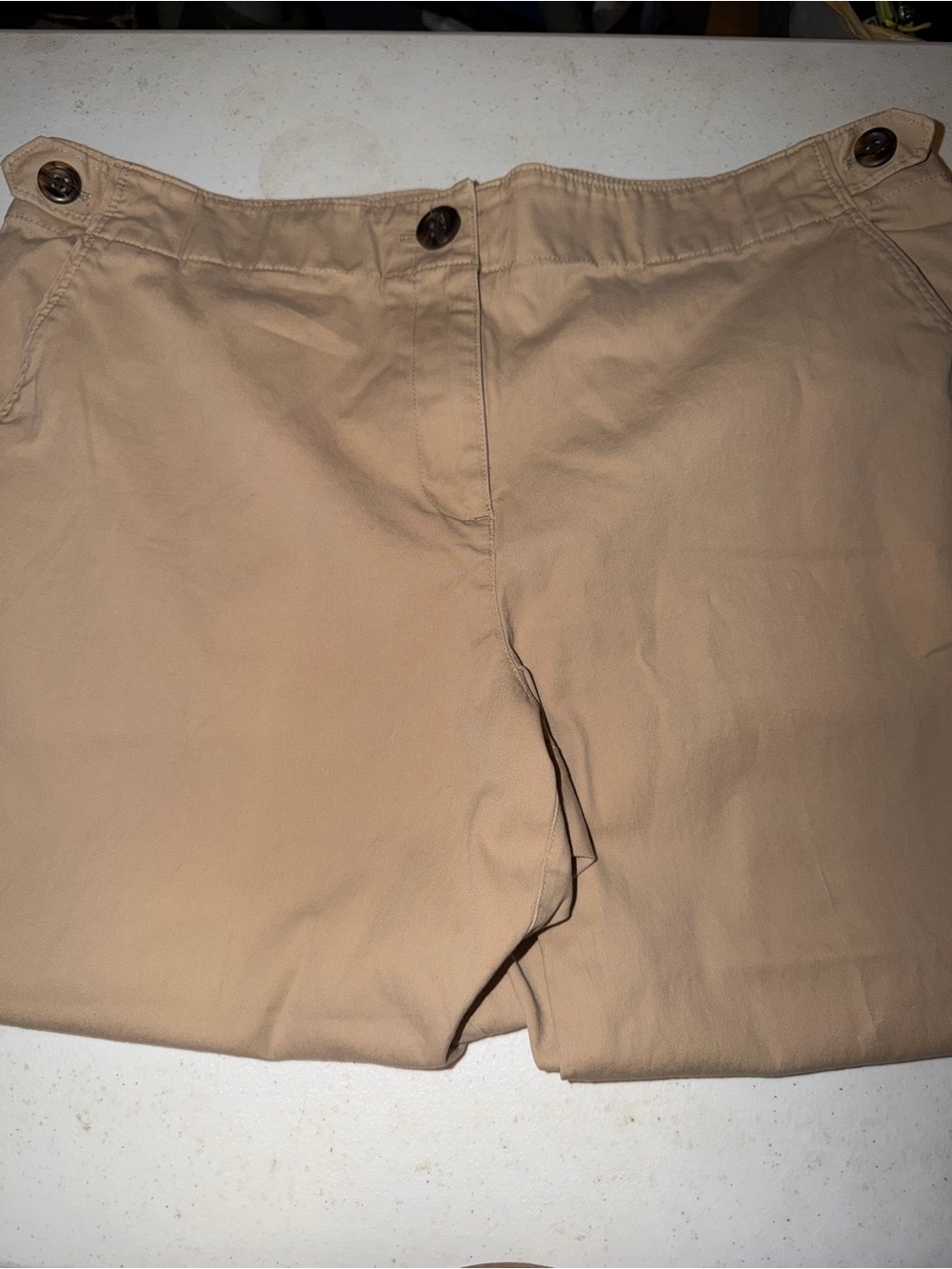 Talbots Tan Women's Chico Pants